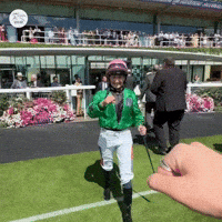 Royal Ascot Fist Bump GIF by World Horse Racing