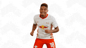 Happy Oh Yeah GIF by RB Leipzig