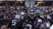 2018 Nfl Football GIF by NFL