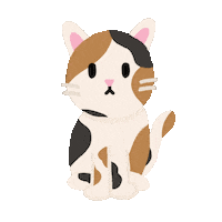 Cat Sticker