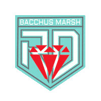 Red Diamond Sticker by F45 Training Bacchus Marsh