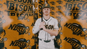 Baseball Bison GIF by NDSU Athletics