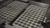 Food Vintage GIF by US National Archives