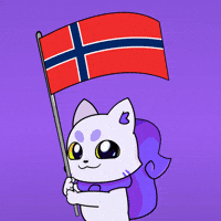 Flag Norway GIF by Lucky Kat Studios