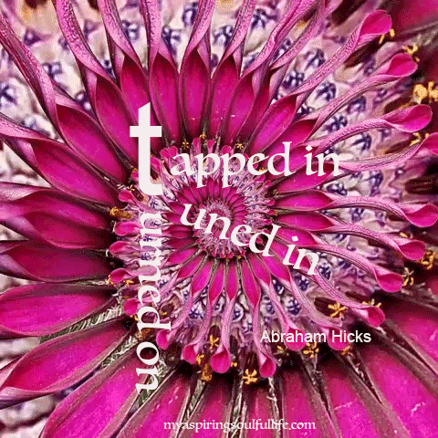 saying soul food GIF