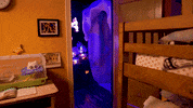 Santa Fe Art GIF by Meow Wolf