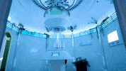 Santa Fe Art GIF by Meow Wolf