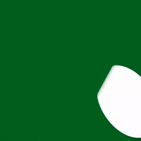 Voting Election 2020 GIF by Milwaukee Bucks