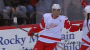 Ice Hockey Hug GIF by NHL