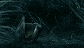 Master Chief Game GIF by Halo