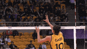 Club Brazil GIF by Volleyball World