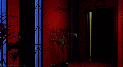remember dario argento GIF