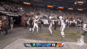 National Football League GIF by NFL