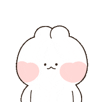 Rabbit No Sticker