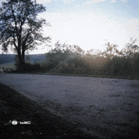 Fast Car GIF by FIA World Rally Championship