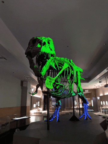 FMNH giphyupload dinosaur t rex field museum GIF