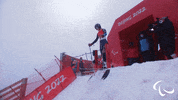 Paralympic Games GIF by International Paralympic Committee