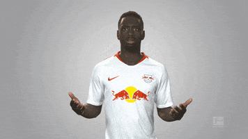 football bother GIF by Bundesliga