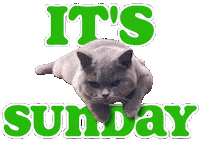 Happy Sunday Cat Sticker by Travis