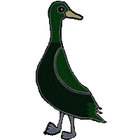 Runnerduck Sticker