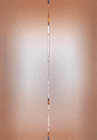 Yugioh Trump Epstein