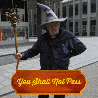 You Shall Not Pass Lord Of The Rings GIF by BNNVARA