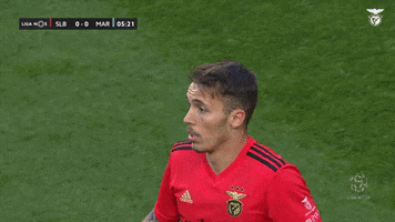 Sassy Sl Benfica GIF by Sport Lisboa e Benfica