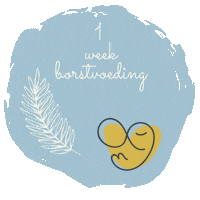 Borstvoedingsbaby Sticker by Borstvoeding & meer