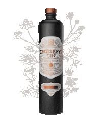 Party Drinking Sticker by CrossKeysGin