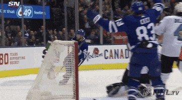Celebrate Ice Hockey GIF by NHL