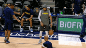 Happy Regular Season GIF by NBA