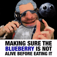 Blueberry GIF