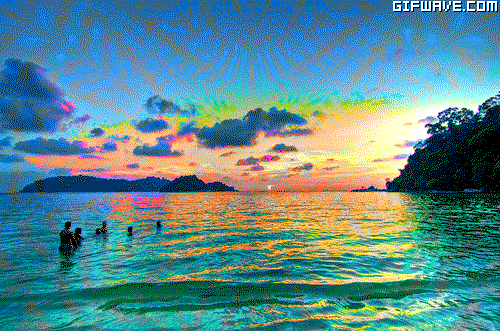 trip GIF