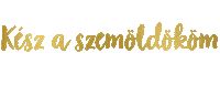 Juliasiklos Sticker by Siklós Júlia Sminktetoválás