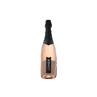 Sextou Brinde Sticker by Vinícola Aurora
