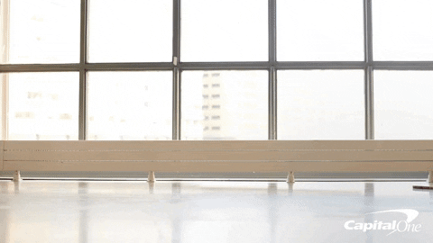 dogs oops GIF by Capital One