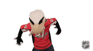 Ice Hockey Reaction GIF by NHL