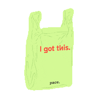 Buy Now Pay Later I Got This Sticker by paywithpace