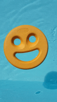 Dundee_Township_Park_District smile pool dtpd dolphincove GIF