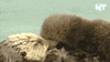 news omg GIF by NowThis 