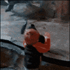mom gorilla GIF