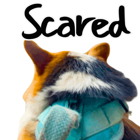 Scared Corgi Sticker
