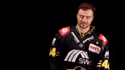 Hockey Del2 GIF by Krefeld Pinguine