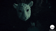 GIF by Space