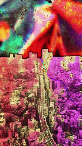vincentthomasshort giphyupload GIF