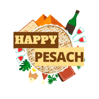 Passover Chag Sameach Sticker by srulymeyer