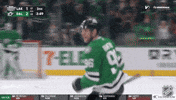 Happy Dallas Stars GIF by NHL