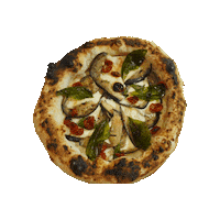 Naughtypizza naughtypizza naughty pizza Sticker