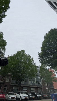 Kazernevictor kazernevictor GIF