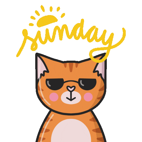 Happy Sunday Fun Sticker by Cat & Raven